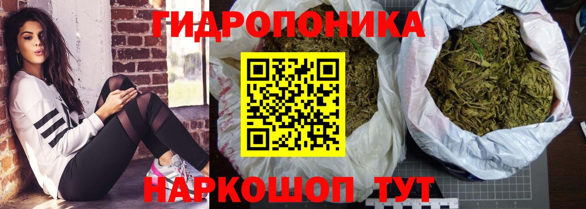Бошки марихуана планчик  Конопля Bruce Banner  Вход с VPN  Канабис LSD WEED  Краснодар  Бошки марихуана OG Kush 
